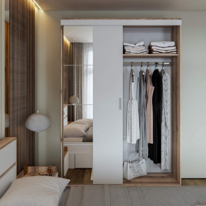 Шкаф-купе Брауни 1.5м в Нерюнгри - neryngi.mebelnovo.ru | фото